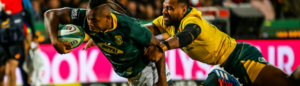 sbu nkosi try gwijo squad rwc2023 preparations